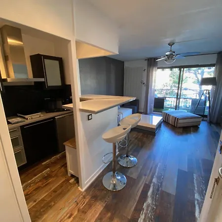 Beau Dans De Standing Avec 2 Piscines Proche Des Commerces, Transport Et Mandelieu