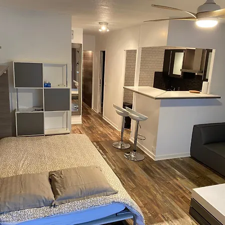 Beau Dans De Standing Avec 2 Piscines Proche Des Commerces, Transport Et * Mandelieu